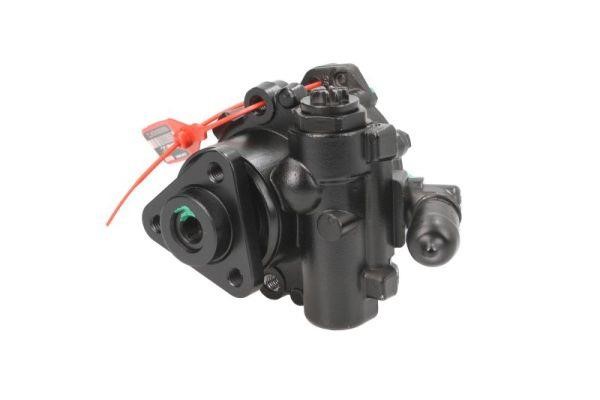 Lauber 55.0313 Power steering pump reconditioned 550313: Buy near me in Poland at 2407.PL - Good price!