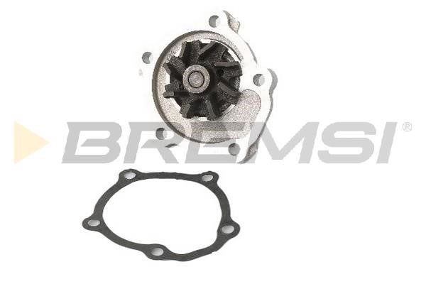 Bremsi WP0542 Water pump WP0542: Buy near me in Poland at 2407.PL - Good price!