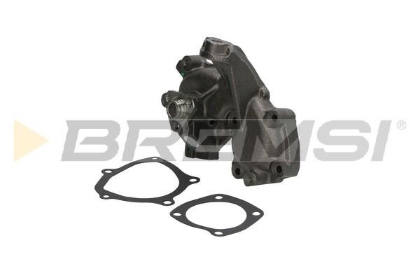 Bremsi WP0132 Water pump WP0132: Buy near me in Poland at 2407.PL - Good price!