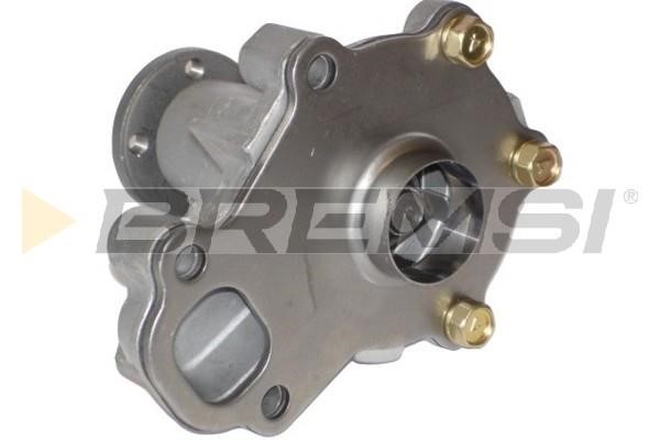Bremsi WP0517 Water pump WP0517: Buy near me at 2407.PL in Poland at an Affordable price!