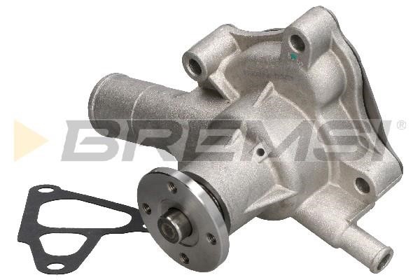 Bremsi WP0287 Water pump WP0287: Buy near me in Poland at 2407.PL - Good price!