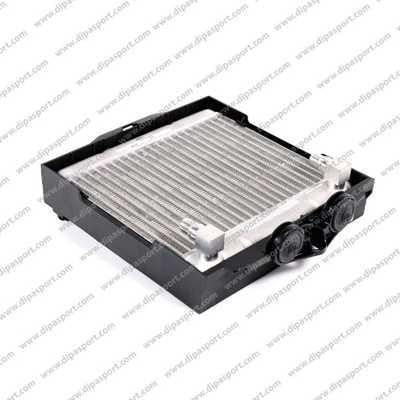 Dipasport RAO118N Oil Cooler, automatic transmission RAO118N: Buy near me in Poland at 2407.PL - Good price!