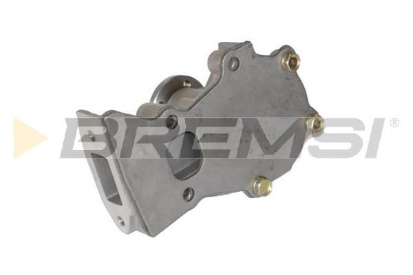 Bremsi WP0289 Water pump WP0289: Buy near me in Poland at 2407.PL - Good price!