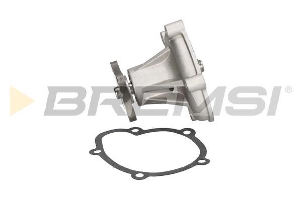 Bremsi WP0291 Water pump WP0291: Buy near me in Poland at 2407.PL - Good price!