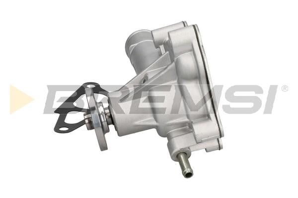 Bremsi WP0290 Water pump WP0290: Buy near me in Poland at 2407.PL - Good price!