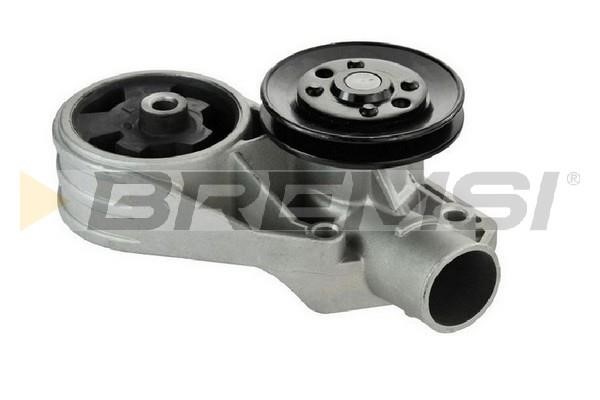 Bremsi WP0101 Water pump WP0101: Buy near me in Poland at 2407.PL - Good price!