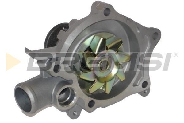 Bremsi WP0115 Water pump WP0115: Buy near me in Poland at 2407.PL - Good price!