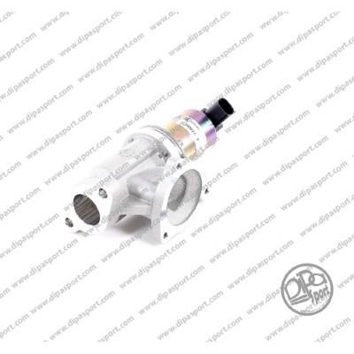 Dipasport EGR021R EGR Valve EGR021R: Buy near me in Poland at 2407.PL - Good price!