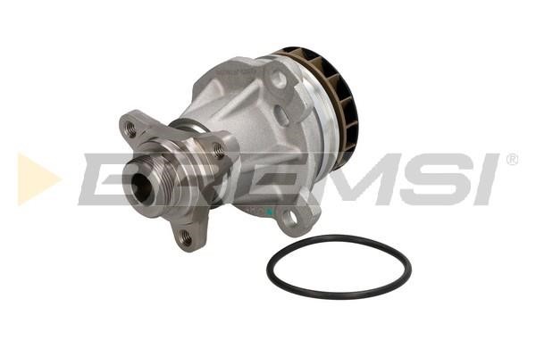 Bremsi WP0380 Water pump WP0380: Buy near me in Poland at 2407.PL - Good price!