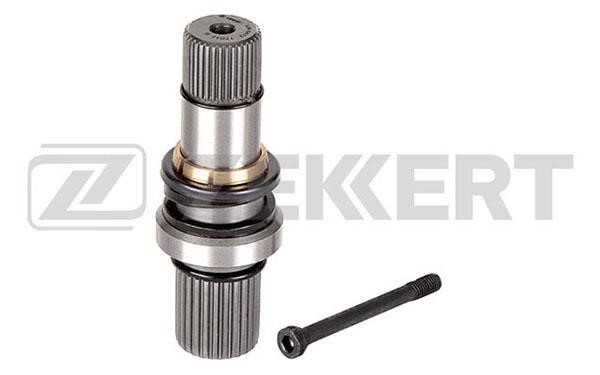 Zekkert AW-5472 Stub Axle, differential AW5472: Buy near me in Poland at 2407.PL - Good price!