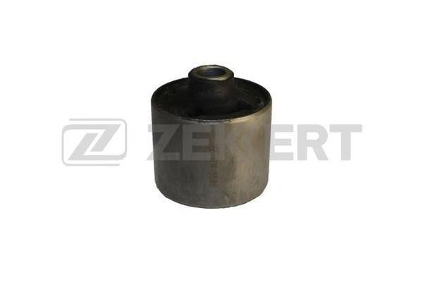 Zekkert GM-5598 Mounting, differential GM5598: Buy near me in Poland at 2407.PL - Good price!
