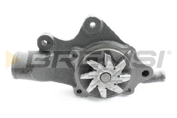Bremsi WP0579 Water pump WP0579: Buy near me in Poland at 2407.PL - Good price!