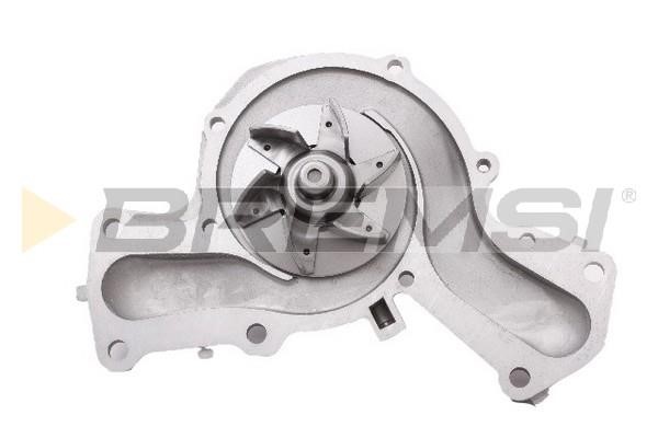 Bremsi WP0507 Water pump WP0507: Buy near me in Poland at 2407.PL - Good price!