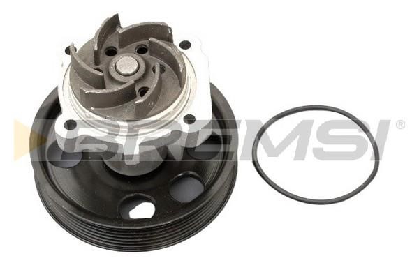 Bremsi WP0183 Water pump WP0183: Buy near me in Poland at 2407.PL - Good price!