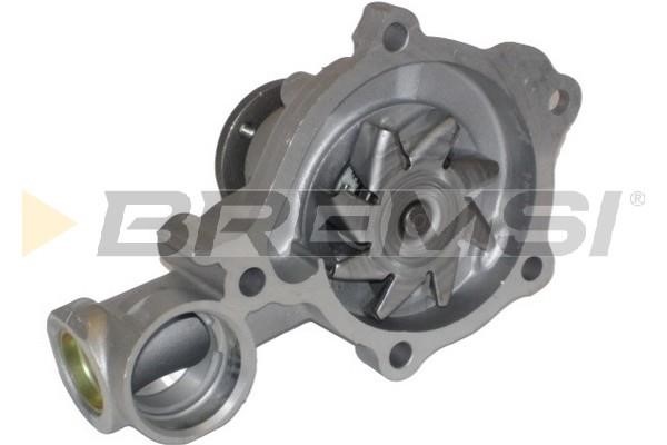 Bremsi WP0196 Water pump WP0196: Buy near me in Poland at 2407.PL - Good price!