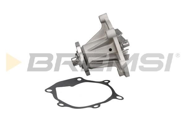 Bremsi WP0389 Water pump WP0389: Buy near me in Poland at 2407.PL - Good price!