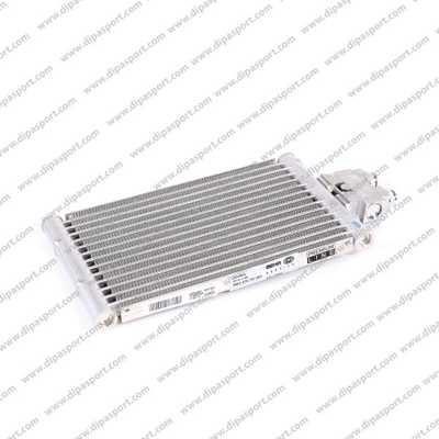 Dipasport RAO111N Oil Cooler, automatic transmission RAO111N: Buy near me in Poland at 2407.PL - Good price!