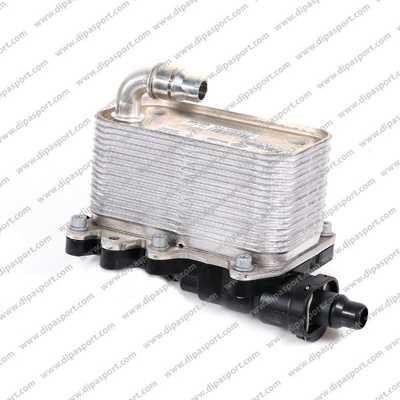 Dipasport RAO037N Oil Cooler, automatic transmission RAO037N: Buy near me in Poland at 2407.PL - Good price!