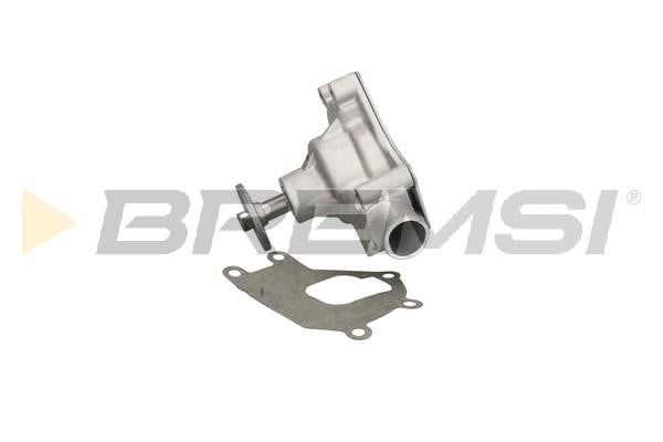 Bremsi WP0407 Water pump WP0407: Buy near me in Poland at 2407.PL - Good price!