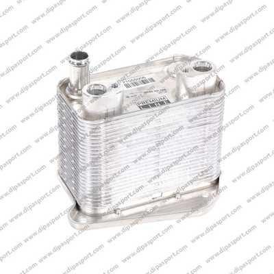 Dipasport RAO120BHRN Oil Cooler, engine oil RAO120BHRN: Buy near me in Poland at 2407.PL - Good price!