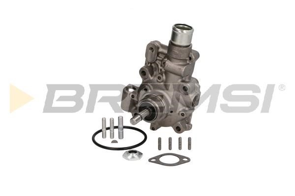 Bremsi WP0194 Water pump WP0194: Buy near me in Poland at 2407.PL - Good price!