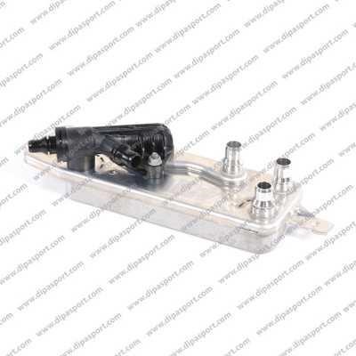 Dipasport RAO113N Oil Cooler, automatic transmission RAO113N: Buy near me in Poland at 2407.PL - Good price!
