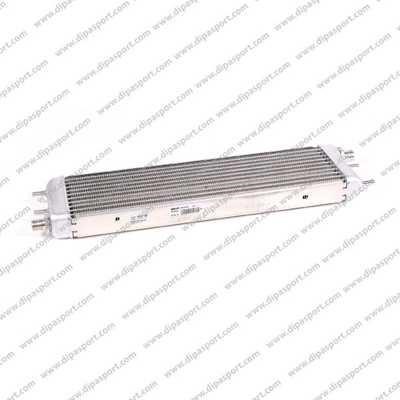 Dipasport RAO078N Oil Cooler, automatic transmission RAO078N: Buy near me in Poland at 2407.PL - Good price!
