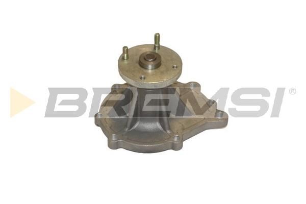 Bremsi WP0047 Water pump WP0047: Buy near me in Poland at 2407.PL - Good price!