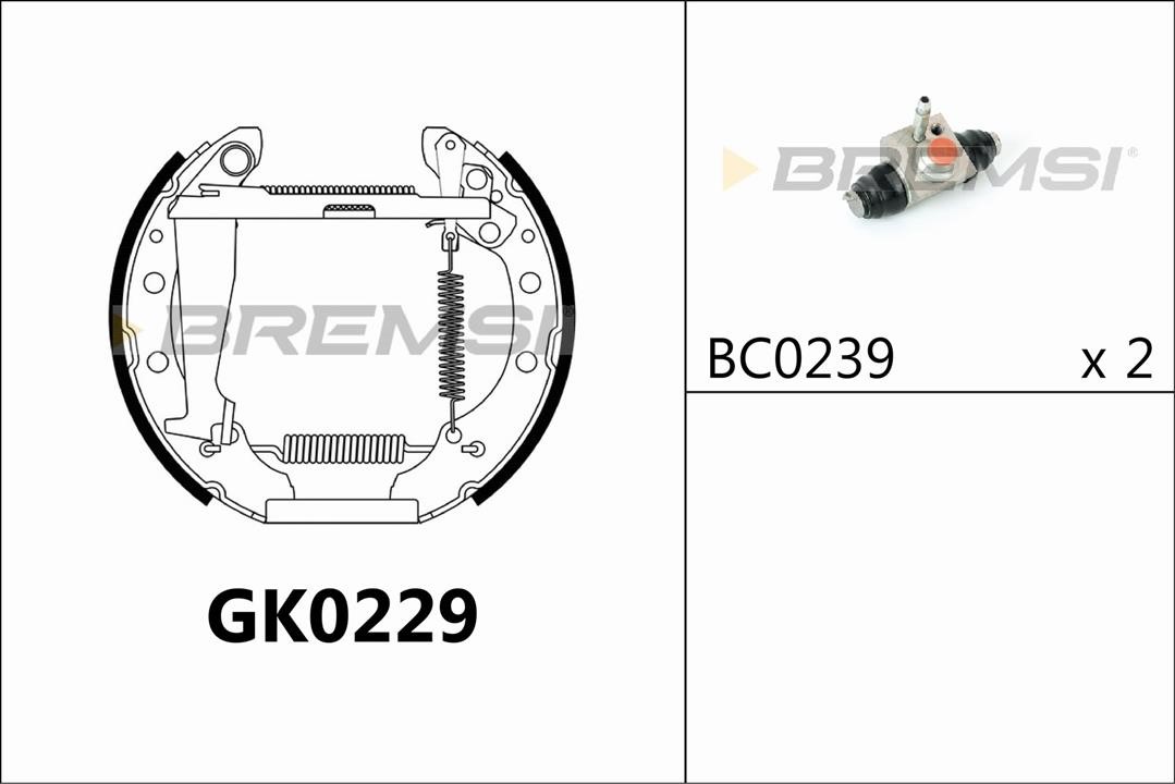 Bremsi GK0229 Колодки гальмівні барабанні, комплект GK0229: Приваблива ціна - Купити у Польщі на 2407.PL!