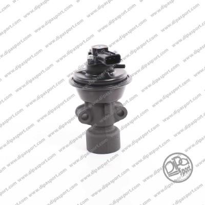 Dipasport EGR487N EGR Valve EGR487N: Buy near me in Poland at 2407.PL - Good price!