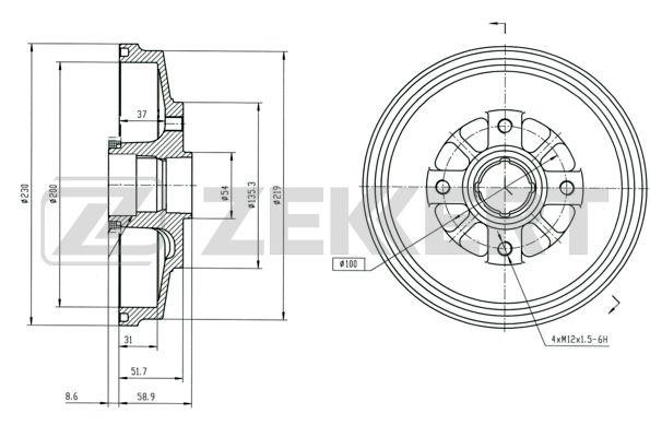 Zekkert BS5570 Rear brake drum BS5570: Buy near me at 2407.PL in Poland at an Affordable price!