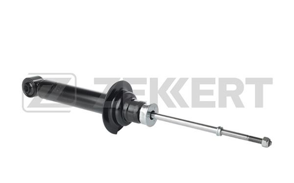 Zekkert SG-2829 Front oil and gas suspension shock absorber SG2829: Buy near me in Poland at 2407.PL - Good price!