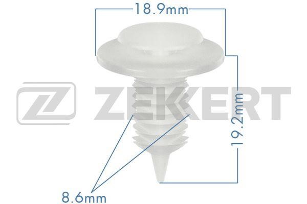 Zekkert BE-1077 Clip, trim/protective strip BE1077: Buy near me in Poland at 2407.PL - Good price!