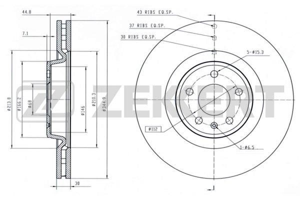 Zekkert BS-5781 Front brake disc ventilated BS5781: Buy near me in Poland at 2407.PL - Good price!