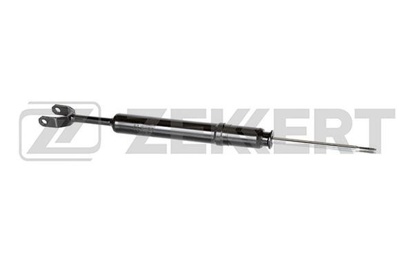 Zekkert SG-2481 Front oil and gas suspension shock absorber SG2481: Buy near me at 2407.PL in Poland at an Affordable price!