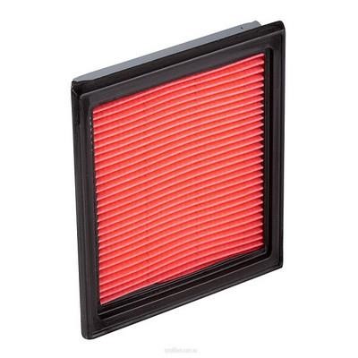 GCG Turbos Australia RY-A1348 Air filter RYA1348: Buy near me at 2407.PL in Poland at an Affordable price!