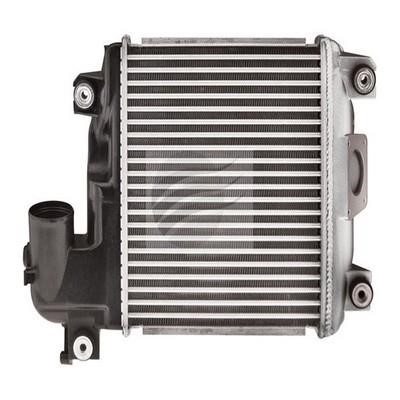 GCG Turbos Australia JAY-IC3031 Intercooler, charger JAYIC3031: Buy near me in Poland at 2407.PL - Good price!
