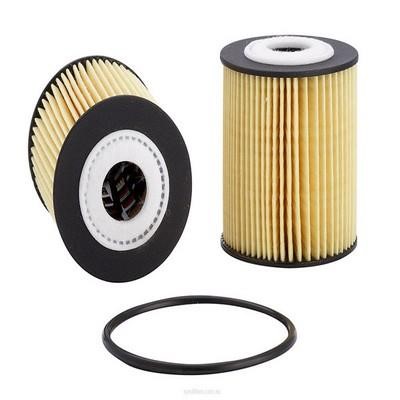 GCG Turbos Australia RY-R2663P Oil Filter RYR2663P: Buy near me at 2407.PL in Poland at an Affordable price!