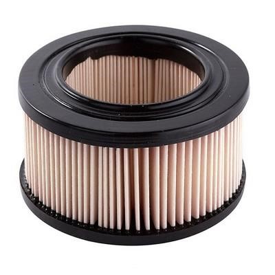 GCG Turbos Australia RY-A21 Air filter RYA21: Buy near me at 2407.PL in Poland at an Affordable price!