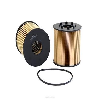 GCG Turbos Australia RY-R2764P Oil Filter RYR2764P: Buy near me in Poland at 2407.PL - Good price!