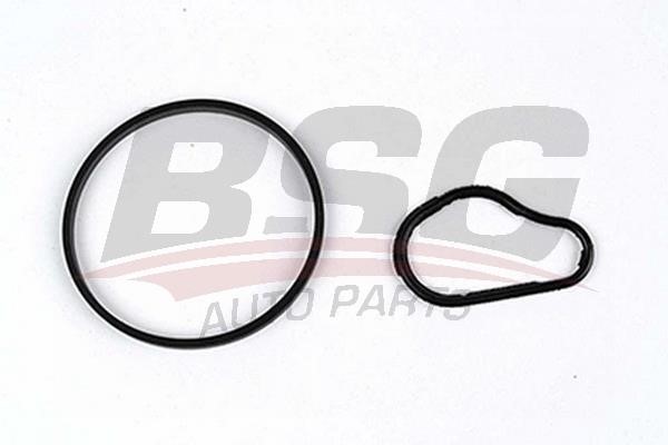 BSG 30-235-006 Ремкомплект вакуумного усилителя 30235006: Отличная цена - Купить в Польше на 2407.PL!