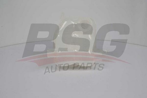 BSG 30-550-003 Expansion Tank, coolant 30550003: Buy near me in Poland at 2407.PL - Good price!