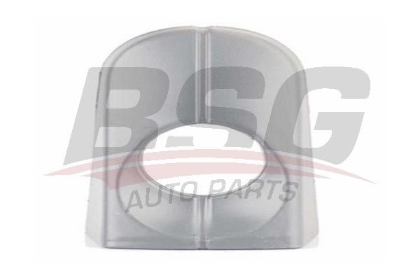 BSG 30-970-058 Handle-assist 30970058: Buy near me in Poland at 2407.PL - Good price!