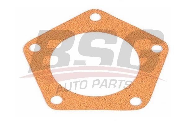 BSG 30-116-007 Axle shaft gasket 30116007: Buy near me in Poland at 2407.PL - Good price!