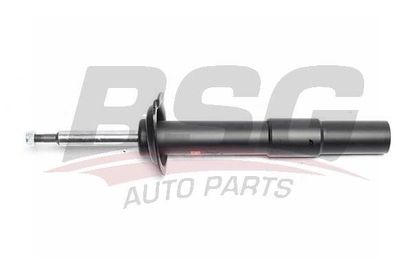 BSG 15-300-025 Shock absorber assy 15300025: Buy near me in Poland at 2407.PL - Good price!