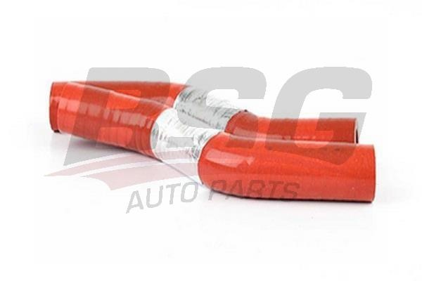 BSG 30-720-184 Charger Air Hose 30720184: Buy near me in Poland at 2407.PL - Good price!