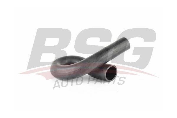 BSG 65-720-146 Charger Air Hose 65720146: Buy near me in Poland at 2407.PL - Good price!