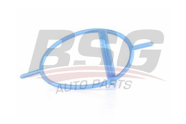 BSG 30-116-084 Repair Set, vacuum pump (braking system) 30116084: Buy near me in Poland at 2407.PL - Good price!