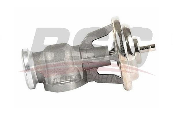 BSG 60-836-001 EGR Valve 60836001: Buy near me at 2407.PL in Poland at an Affordable price!