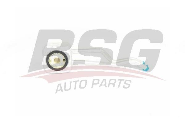 BSG 90-506-012 Oil Cooler, engine oil 90506012: Buy near me in Poland at 2407.PL - Good price!